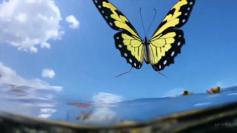 a photorealistic video of a butterfly that can swim navigating underwater through a beautiful coral reef